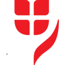 Vienna Insurance logo