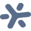 logo společnosti BrainChip Holdings