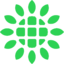 logo společnosti Shoals Technologies