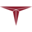 logo společnosti Triumph Group