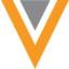 logo Veeva Systems